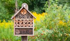 Bug Hotel Re Build - Materials needed!